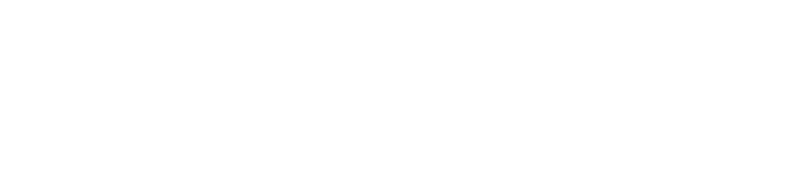 SafeGuard Insurance Group Logo 800 White